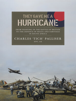 cover image of They Gave Me a Hurricane